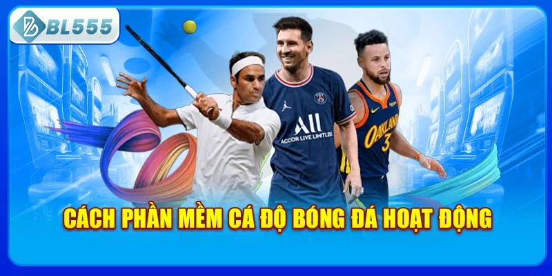 cach-phan-mem-ca-do-bong-da-hoat-dong